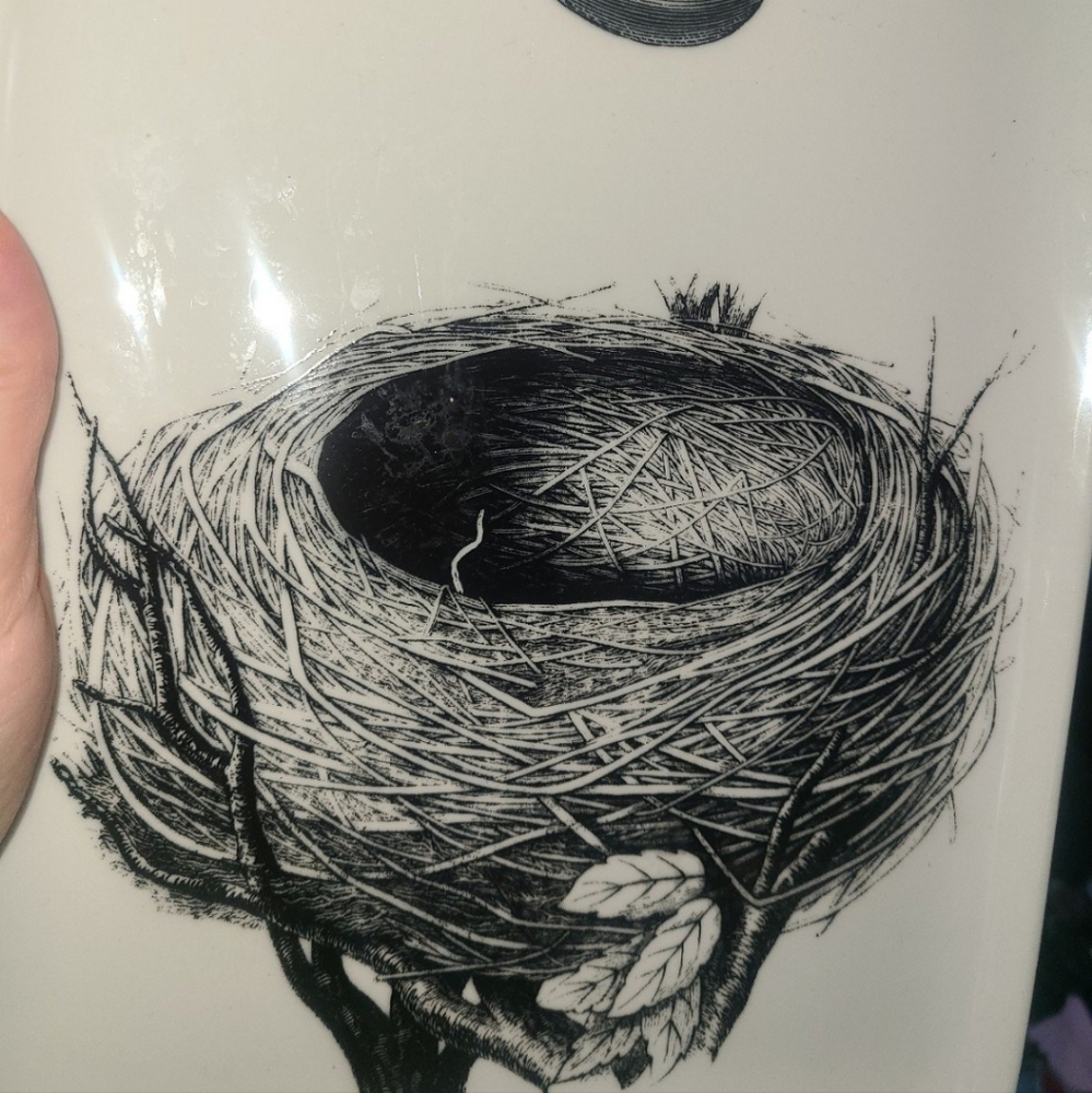 Creative Co-op rectangle Ceramic serving Dish Birds Nest Pattern Spring 🐦 - Picture 4 of 6